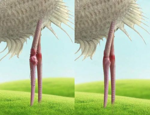 آموزش طراحی موجود خیالی در فتوشاپ